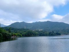 -深圳仙湖植物园