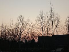 -济南国际园博园