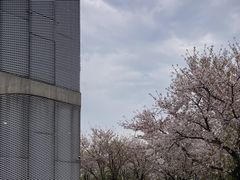 -龙美术馆(西岸馆)