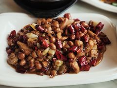 -陈麻婆豆腐总店