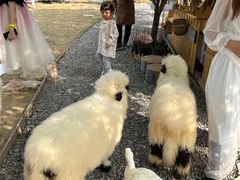 -HERRE·FARM 赫尔露营农场·团建聚会包场