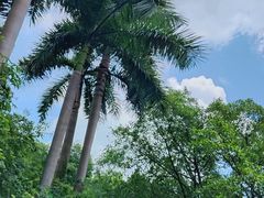-广州长隆野生动物世界