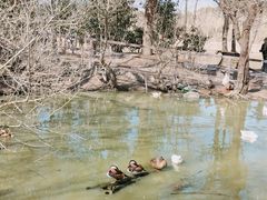 -宁波杭州湾国家湿地公园