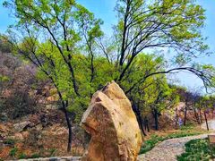 -北京西山国家森林公园