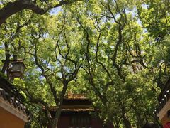 -普陀山风景名胜区-法雨禅寺