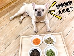 -Double Rui宠物酒店