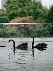 -南京圣和府邸豪华精选酒店-宴会厅婚宴·生日宴·宝宝宴
