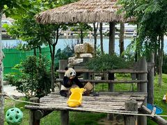 -西霞口神雕山野生动物世界