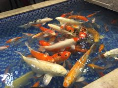 -盆满钵满·国家非遗传承(云台店)