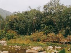 -四会奇石河风景区
