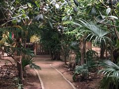 -呀路古热带植物园