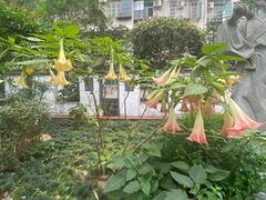 -广州神农草堂中医药博物馆