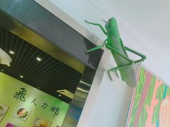 -上海昆虫博物馆