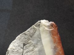 -青田石雕博物馆