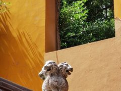-开元寺