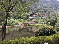 -桃花岭景区