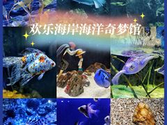 -欢乐海岸海洋奇梦馆