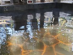 -西安国际创新人才交流中心•药浴温泉