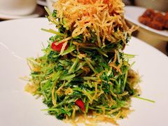 巧拌豆苗-四季民福烤鸭店(西单华威约饭街店)