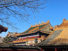 -大召无量寺