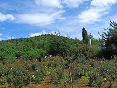 -名花谷生态庄园