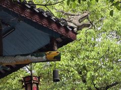 -土家风情园