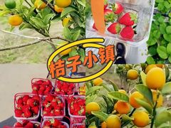 -小鱼草莓采摘园农家乐·小鱼餐厅