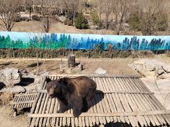 -济南野生动物世界