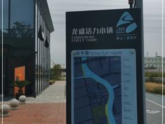 -龙盛活力小镇