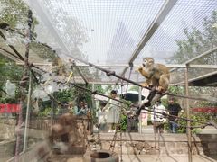 -苏州太湖西山岛开心农场