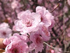 -荆川公园