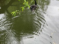 -水绘园