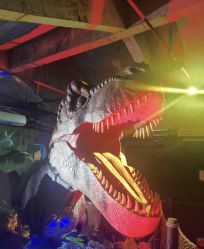 -恐龙探索乐园(磁器口店)