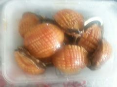 android_upload_pic-天津乾毓德饭庄·清真传统炒菜·海鲜烧烤(咸阳路店)