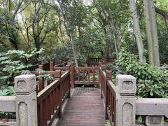 -上海佘山国家森林公园天马山园