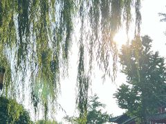 -济南大明湖景区
