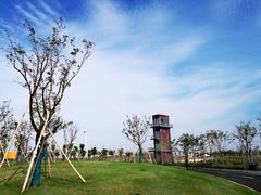 -春花秋色城市公园