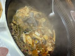 -老东北三江野生大鱼坊(登封店)