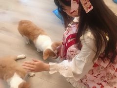 -浣熊柯尔鸭土拨鼠·电玩咖