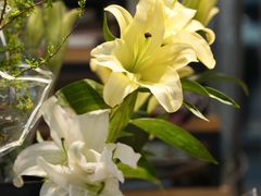 -循礼门鲜花花市(武汉循礼门店)