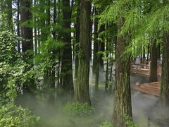 -东湖落雁景区