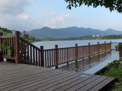 -飞来湖湿地公园