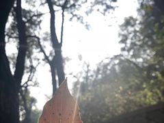 -乌山风景区