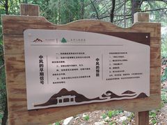 -石老人观光园