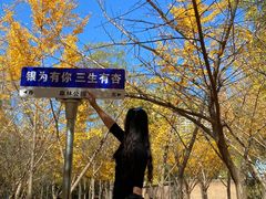 -森林公园(尖草坪区)