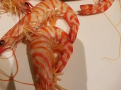 -陶陶居海鲜酒家(新马路店)