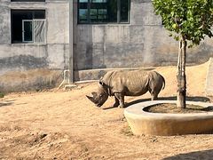 -西霞口神雕山野生动物世界