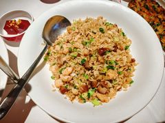 -谭厨中山传家菜.乳鸽.脆鲩鱼(华强北中航城店)