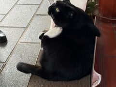 -溪岸路花鸟市场