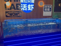 -0048鲜活香辣虾·火锅(铜陵路店)